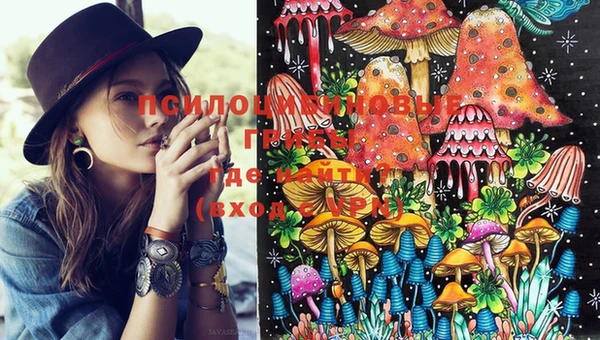 тгк Коряжма